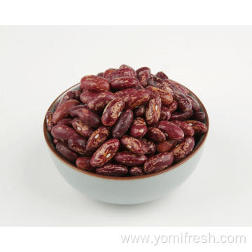 Kidney Beans For Baby